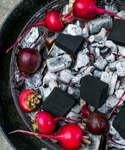 ProQ® Ranger Elite V4 bullet smoker