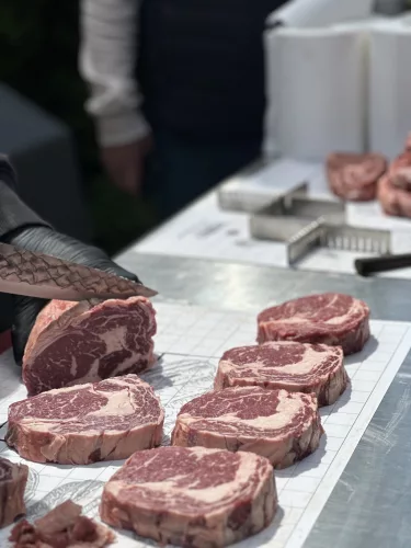 STEAK MESTER KURZUS 